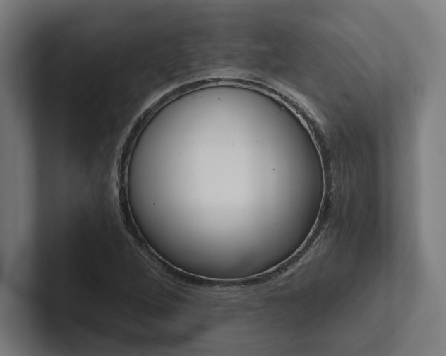 X0000102801264200808180925