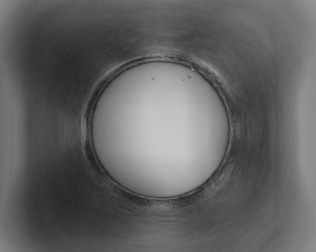 X0000102801267200808180925