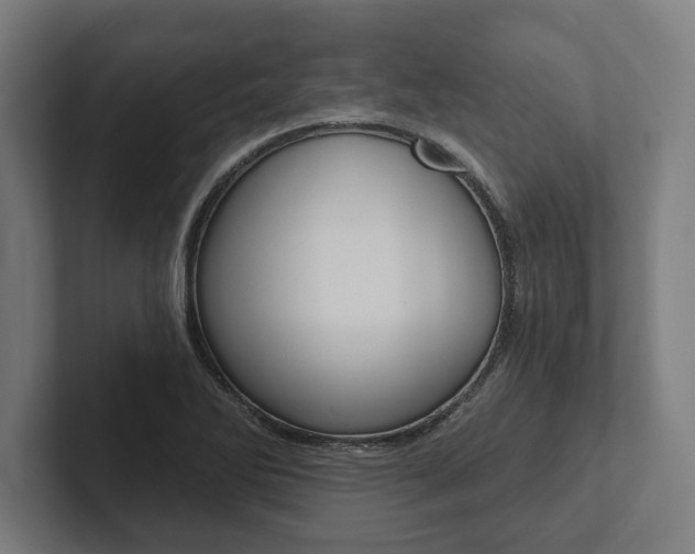 X0000102801270200808180925