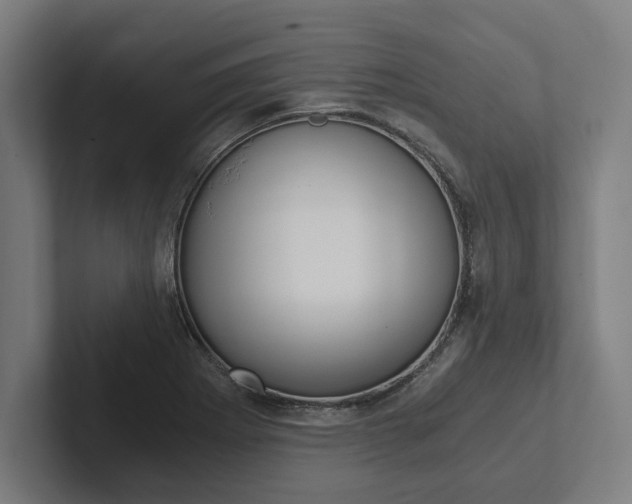 X0000102801273200808180925