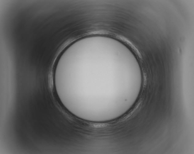 X0000102801274200808180925
