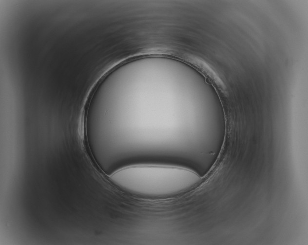 X0000102801276200808180925