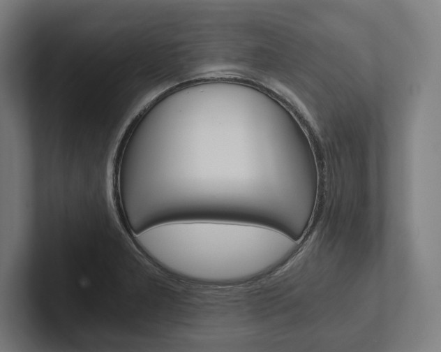 X0000102801277200808180925