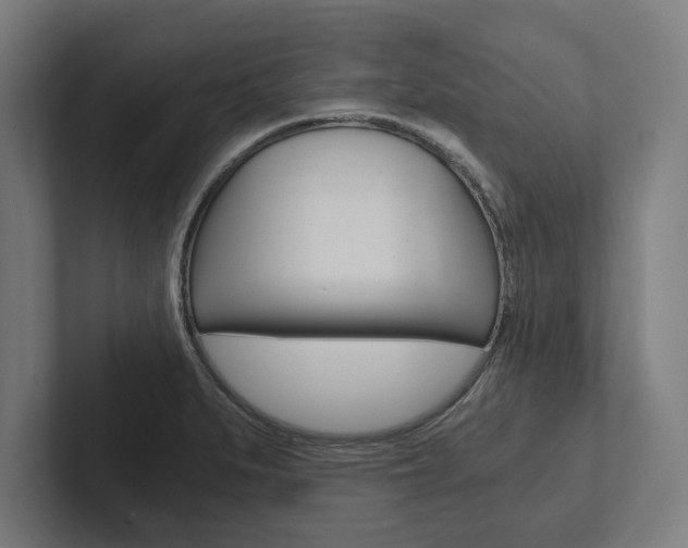 X0000102801279200808180925