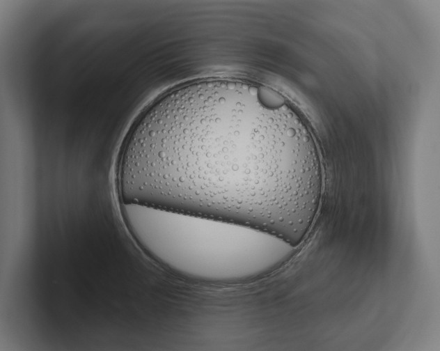 X0000102801283200808180925