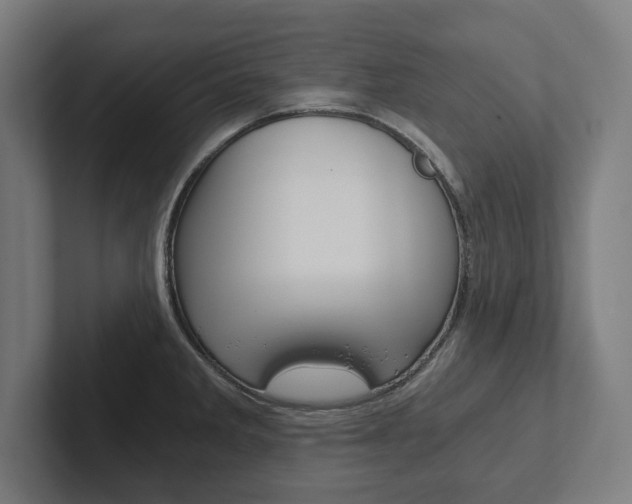 X0000102801285200808180925