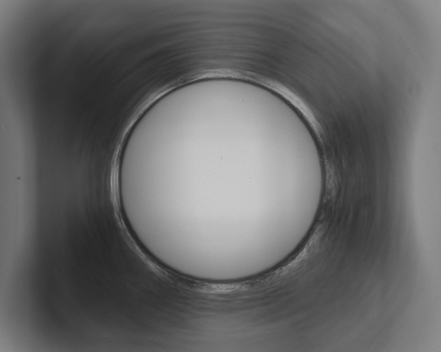 X0000102801290200808180925