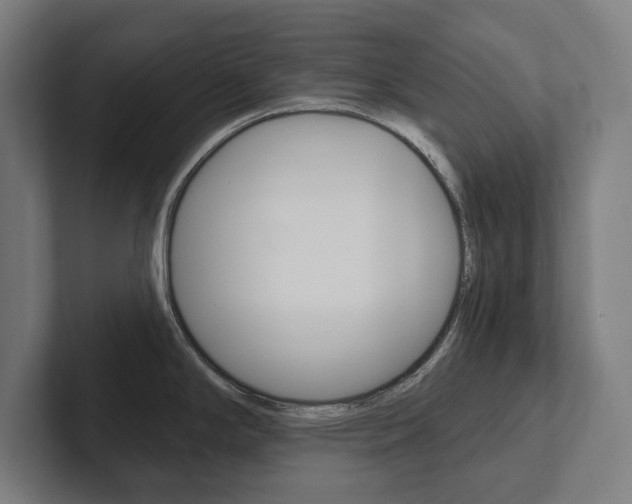 X0000102801294200808180925