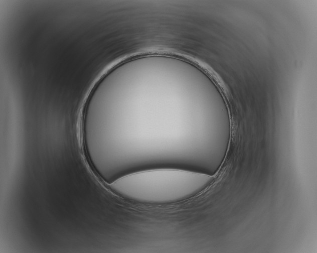 X0000102801295200808180925