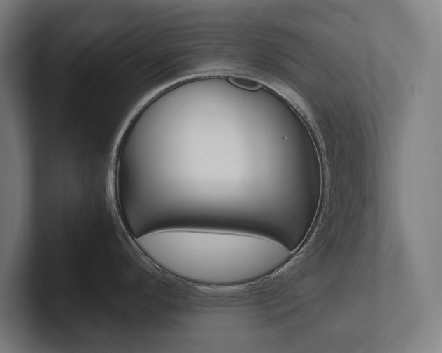 X0000102801296200808180925