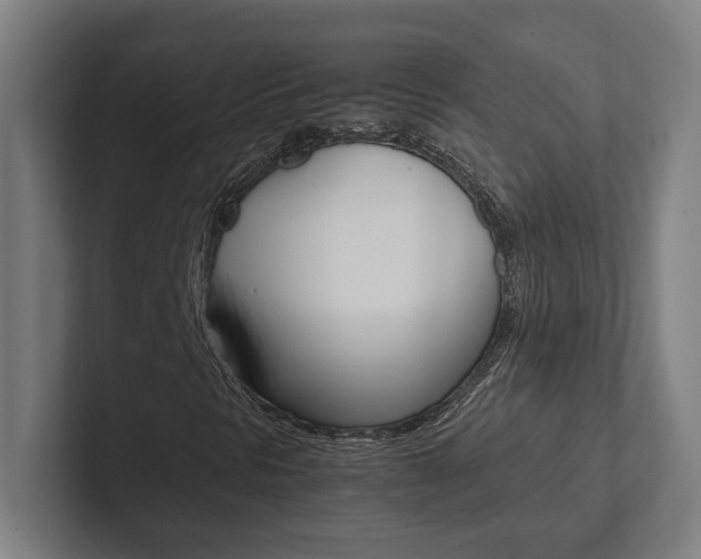 X0000102801297200808180924