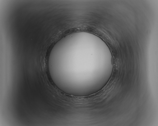 X0000102801298200808180924