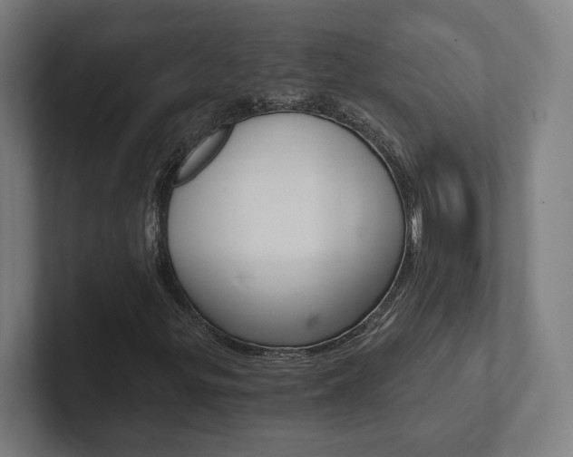 X0000102801299200808180924