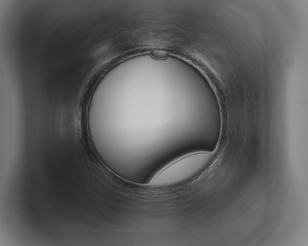 X0000102801307200808180924