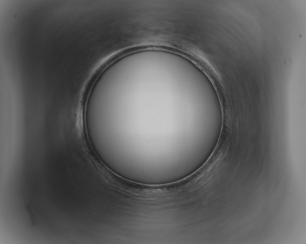 X0000102801320200808180924
