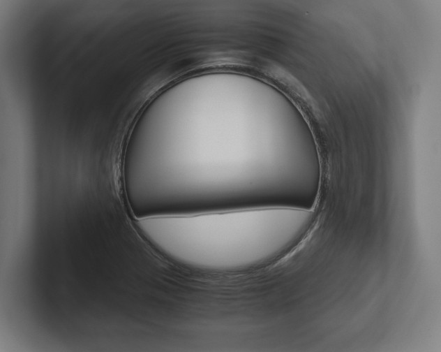 X0000102801321200808180924