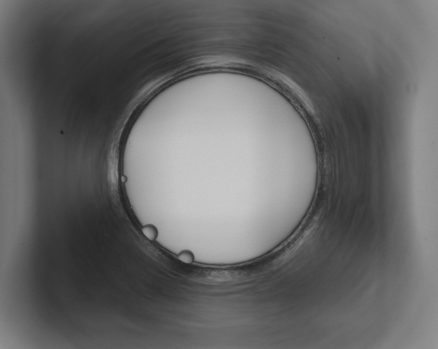 X0000102801322200808180925