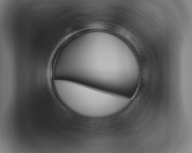 X0000102801323200808180925