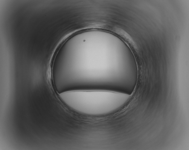 X0000102801324200808180925
