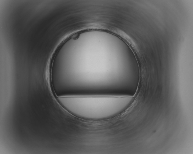 X0000102801334200808180925