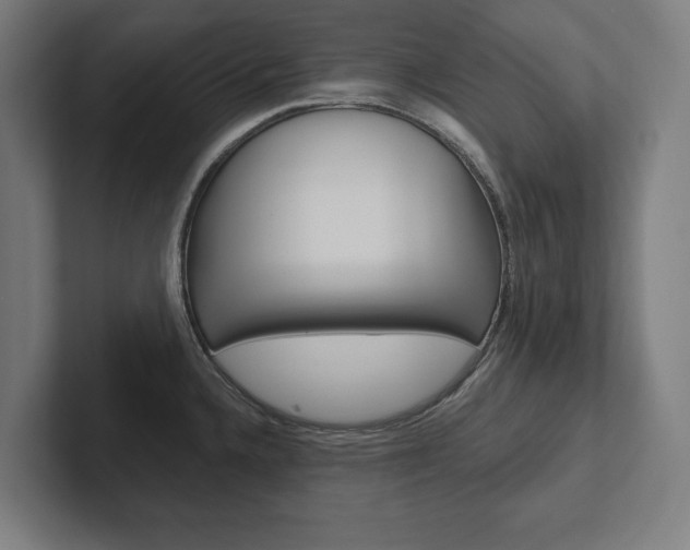 X0000102801336200808180925