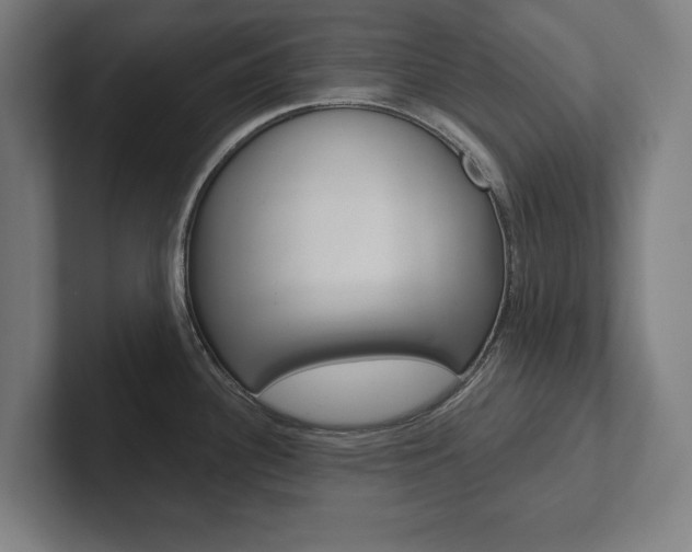 X0000102801340200808180925