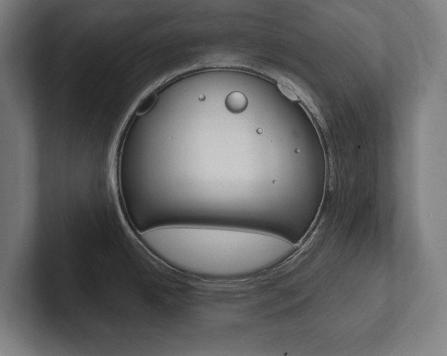 X0000102801342200808180925