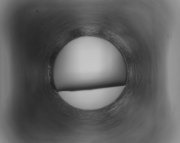 X0000102801346200808180924