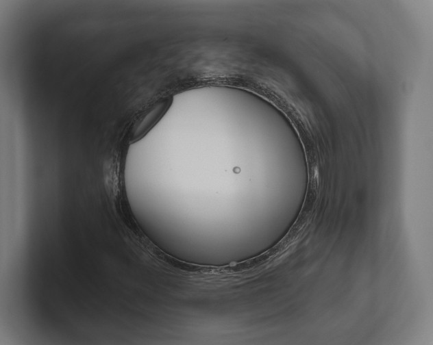 X0000102801348200808180924