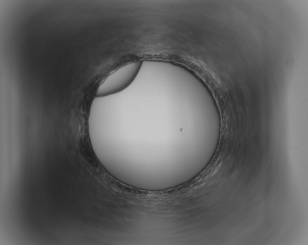 X0000102801350200808180924
