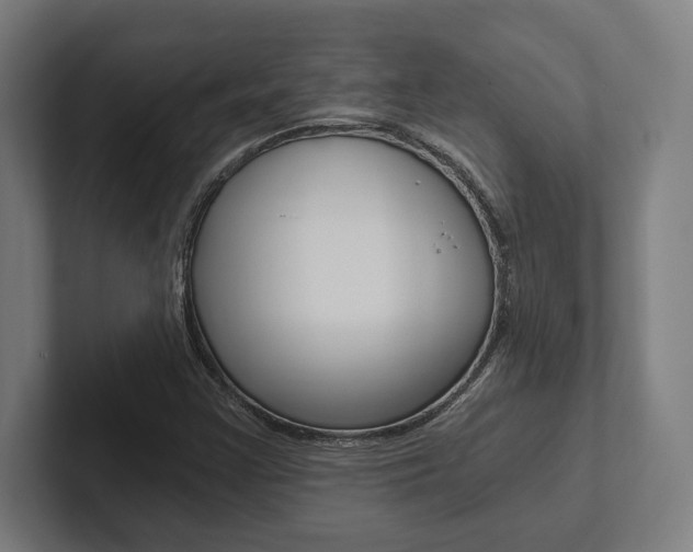 X0000102801355200808180924