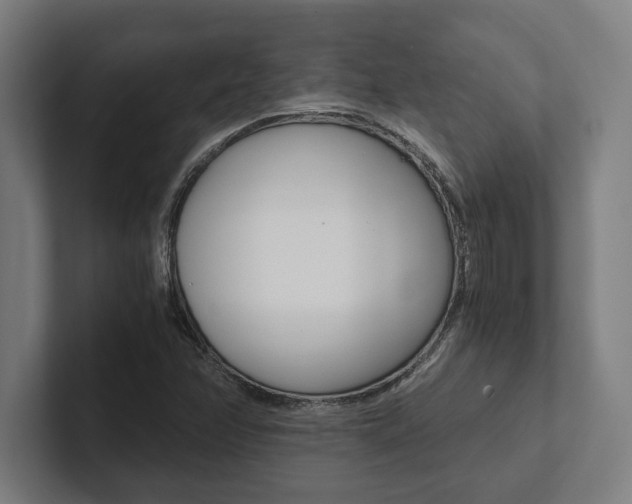 X0000102801358200808180924