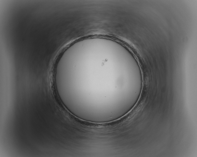 X0000102801359200808180924