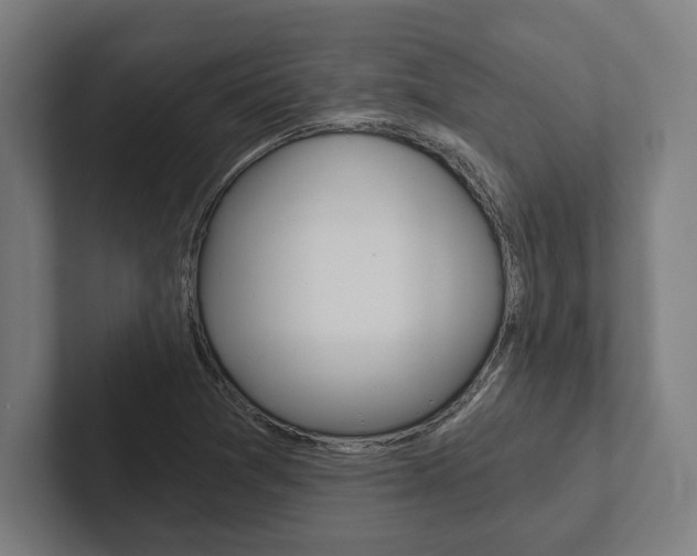 X0000102801361200808180924