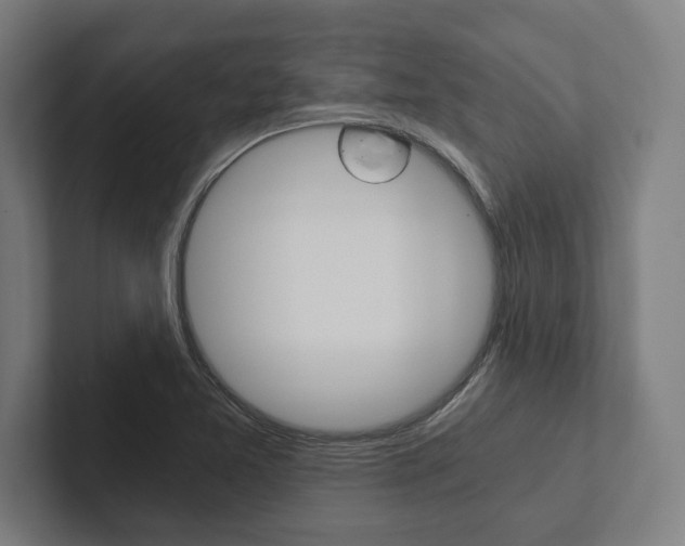 X0000102801365200808180924