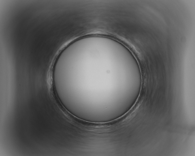 X0000102801367200808180924