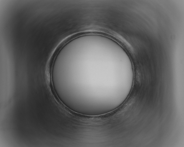 X0000102801368200808180924