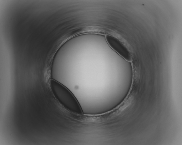 X0000102801369200808180924