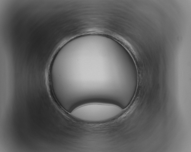 X0000102801373200808180924
