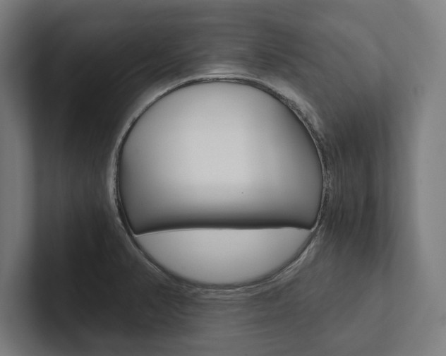 X0000102801374200808180924