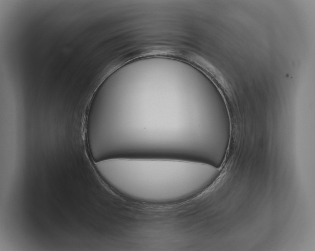 X0000102801377200808180924