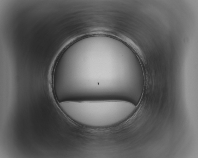 X0000102801384200808180924