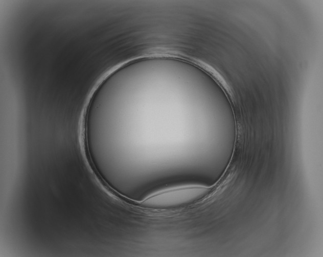 X0000102801387200808180924