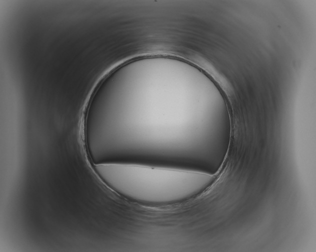 X0000102801388200808180924