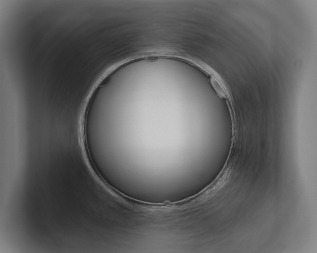 X0000102801389200808180924