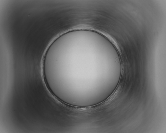 X0000102801390200808180924