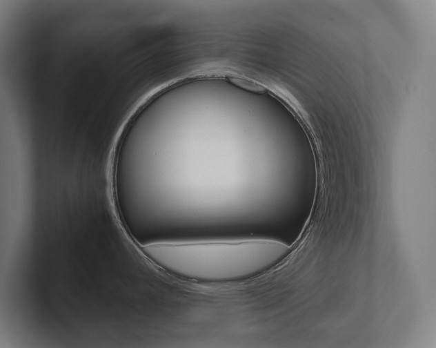 X0000102801392200808180924