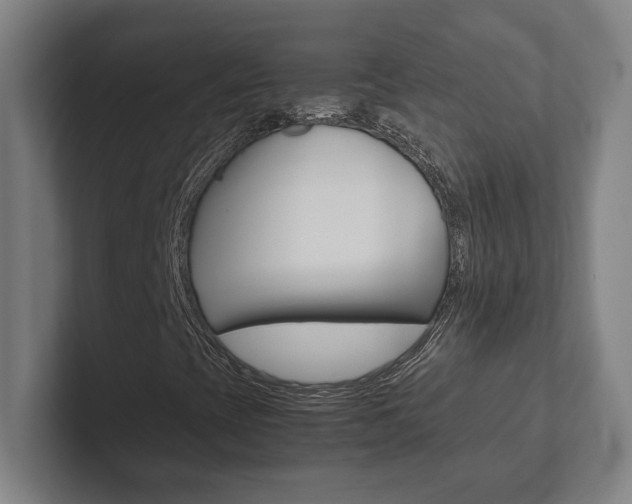 X0000102801393200808180923
