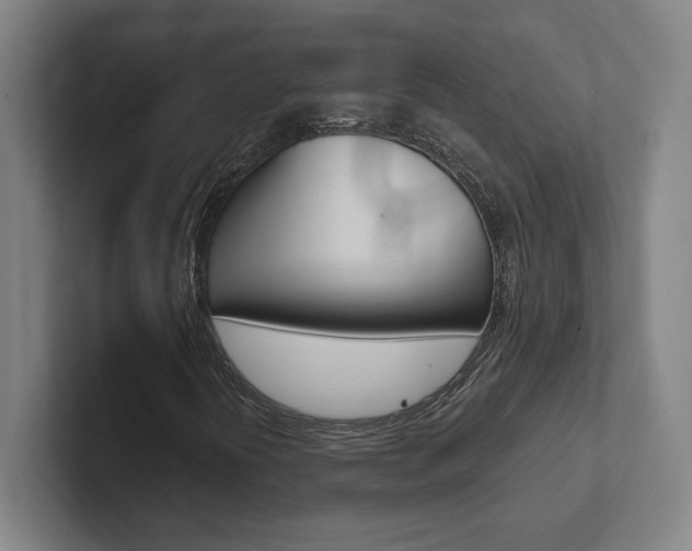 X0000102801394200808180923