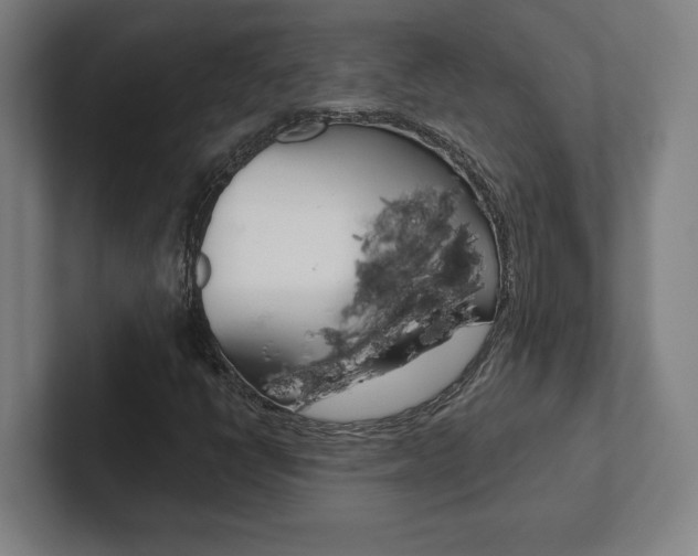 X0000102801398200808180923